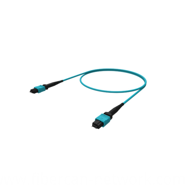 Fiber Optic MTP and MPO Patch Cord