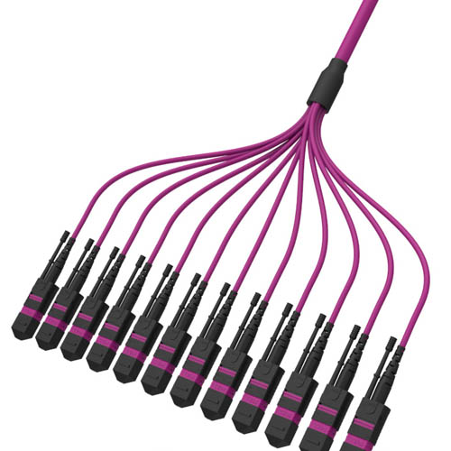 Fiber Optic MTP and MPO Trunk Cable