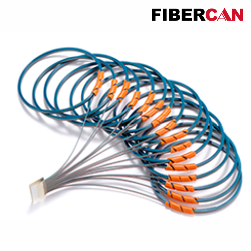 Fiber Array(FA)
