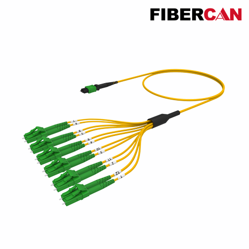 MTP-12*LC Cable Assembly