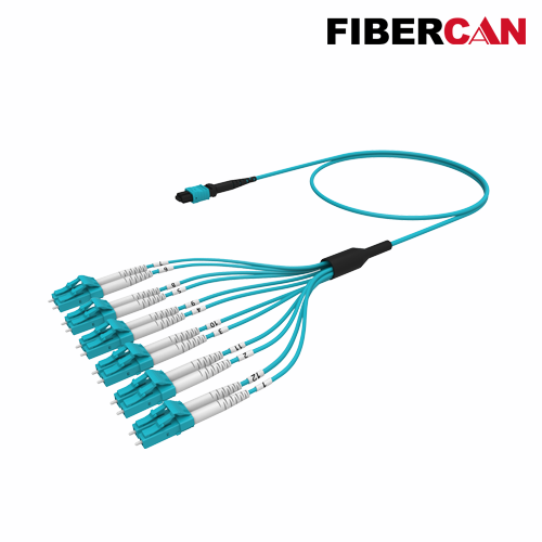 MTP-12*LC Cable Assembly