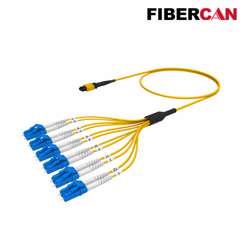 MTP-12*LC Cable Assembly