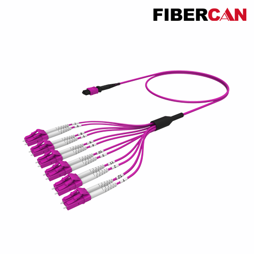 MTP-12*LC Cable Assembly